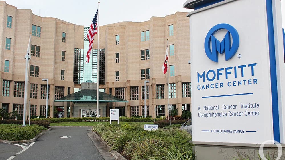 Moffitt Cancer Center T-cell simulation